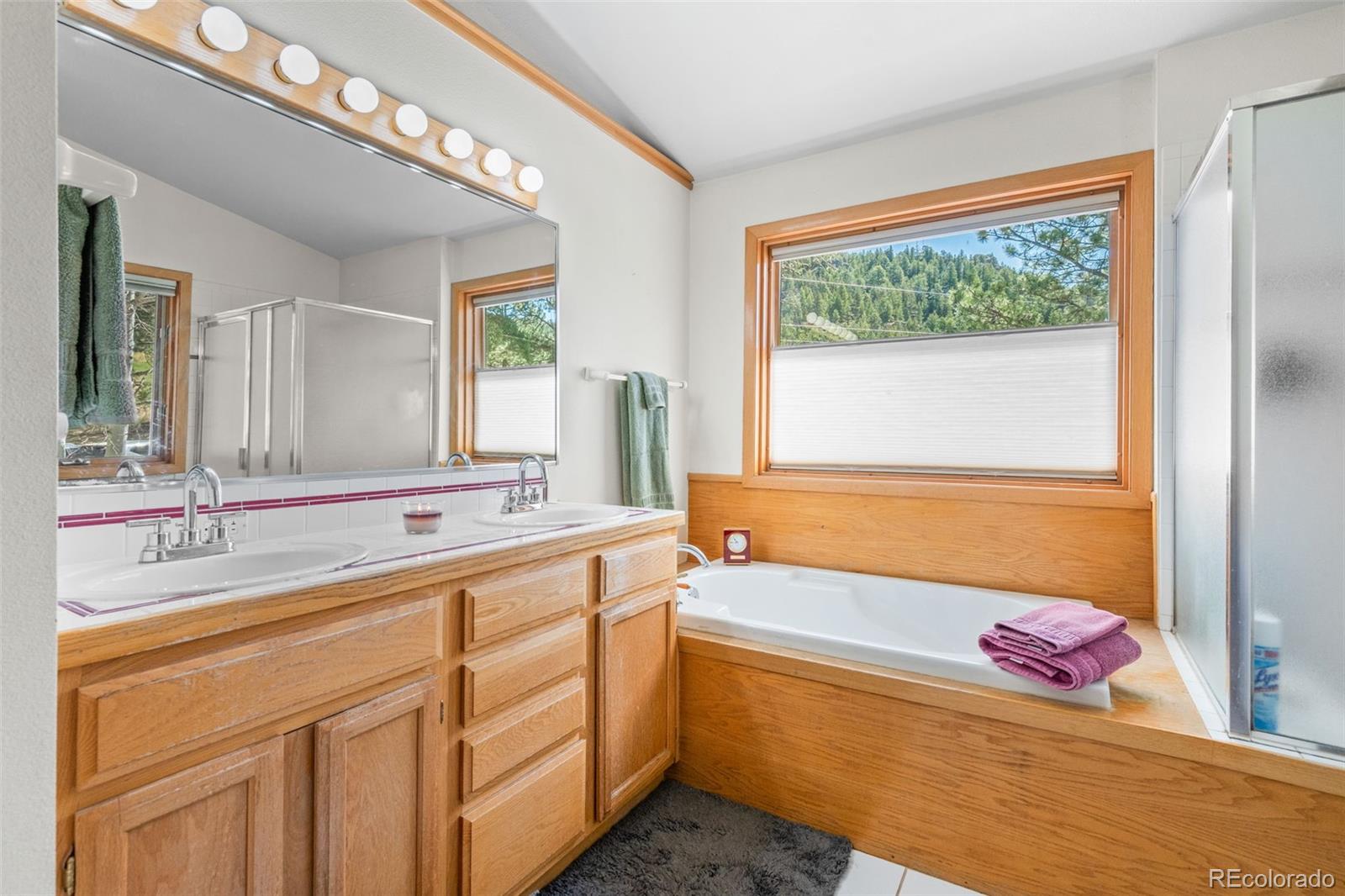 MLS Image #29 for 6151  kinney creek road,evergreen, Colorado