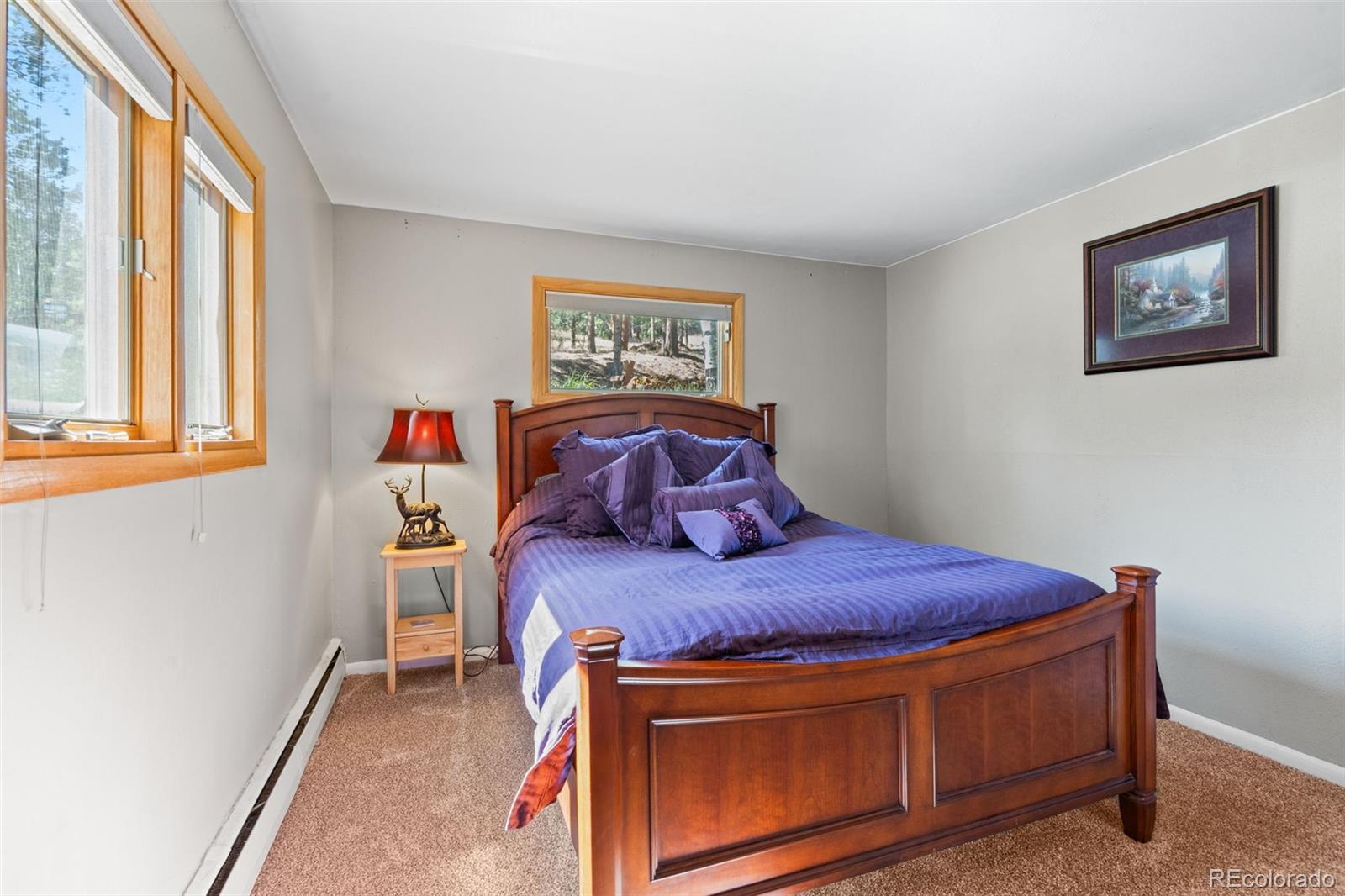 MLS Image #38 for 6151  kinney creek road,evergreen, Colorado