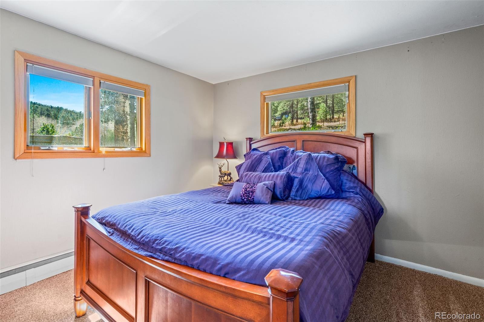 MLS Image #39 for 6151  kinney creek road,evergreen, Colorado