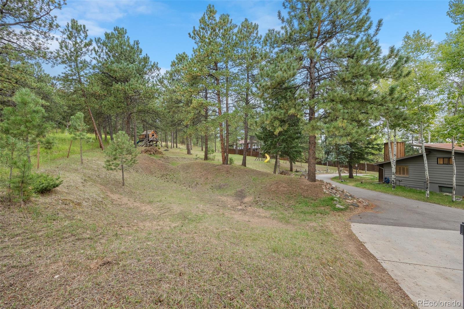 MLS Image #7 for 6151  kinney creek road,evergreen, Colorado