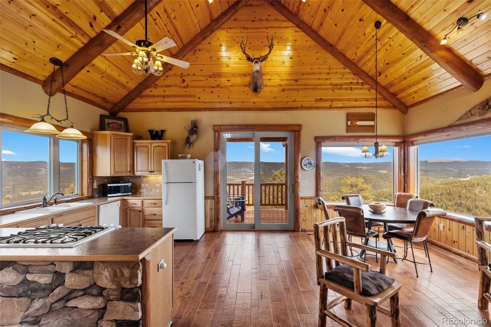 MLS Image #11 for 29549 n highway 67 ,woodland park, Colorado