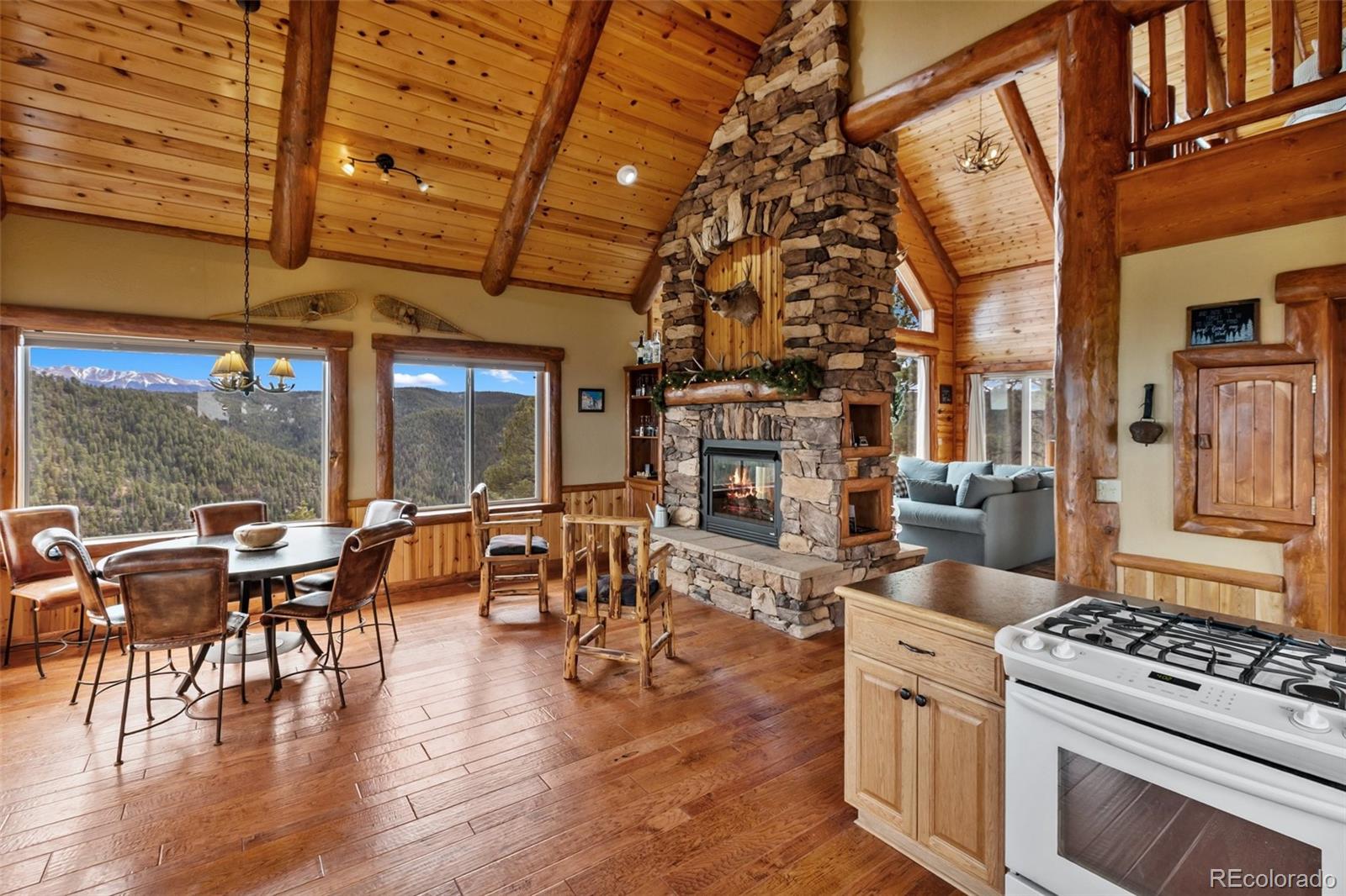 MLS Image #12 for 29549 n highway 67 ,woodland park, Colorado