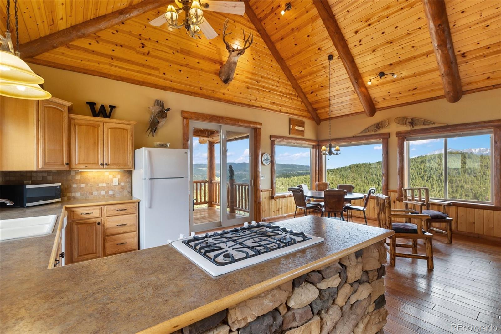 MLS Image #13 for 29549 n highway 67 ,woodland park, Colorado