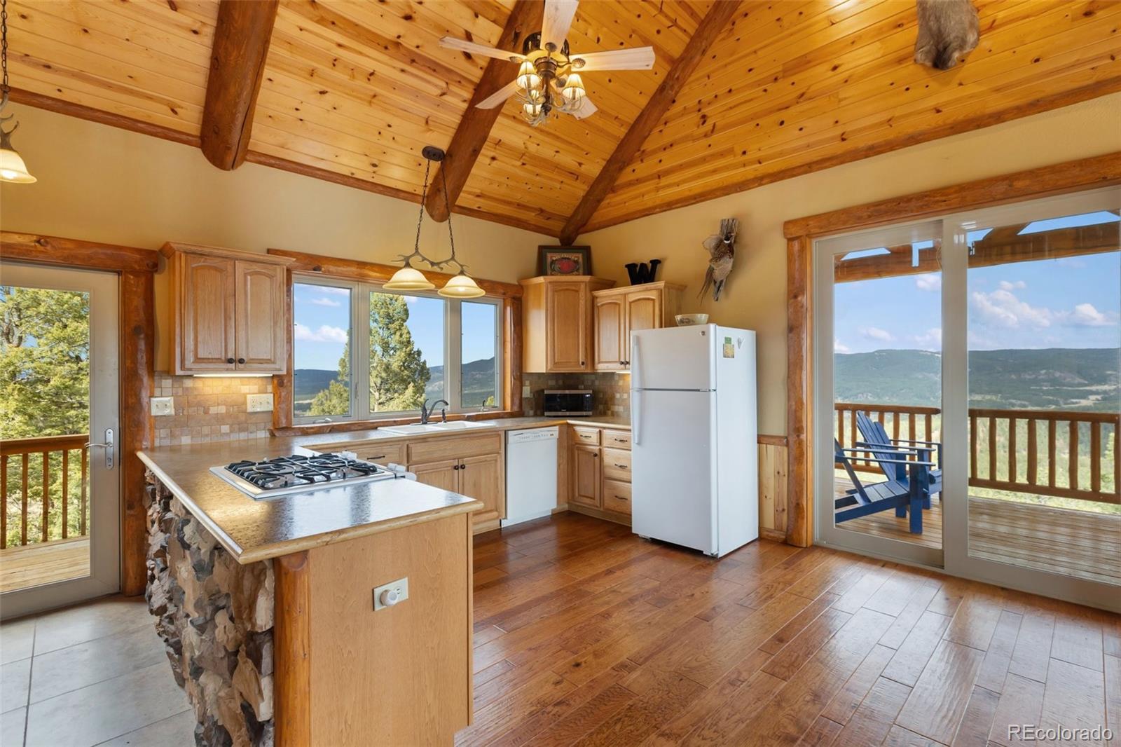 MLS Image #14 for 29549 n highway 67 ,woodland park, Colorado
