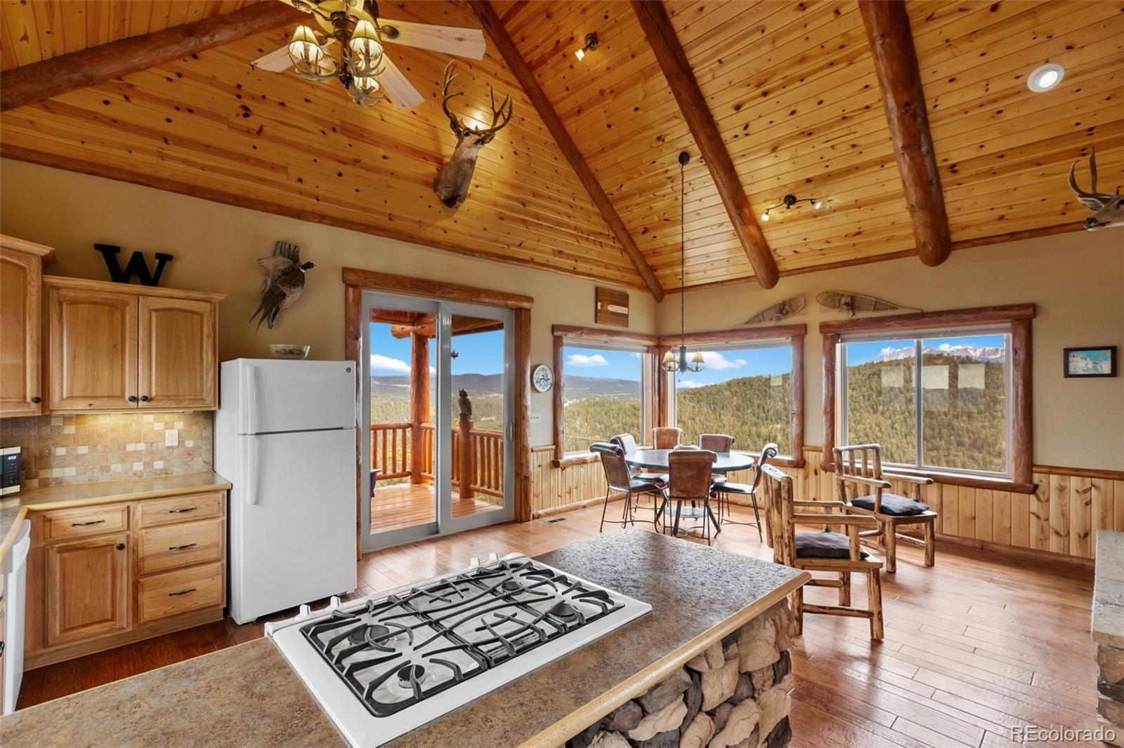 MLS Image #15 for 29549 n highway 67 ,woodland park, Colorado