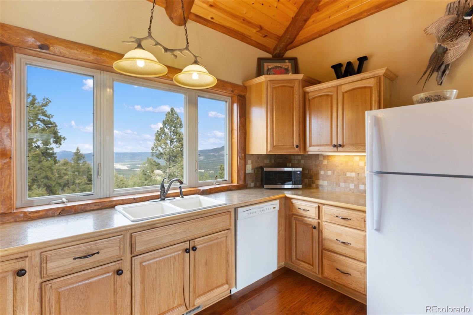 MLS Image #16 for 29549 n highway 67 ,woodland park, Colorado