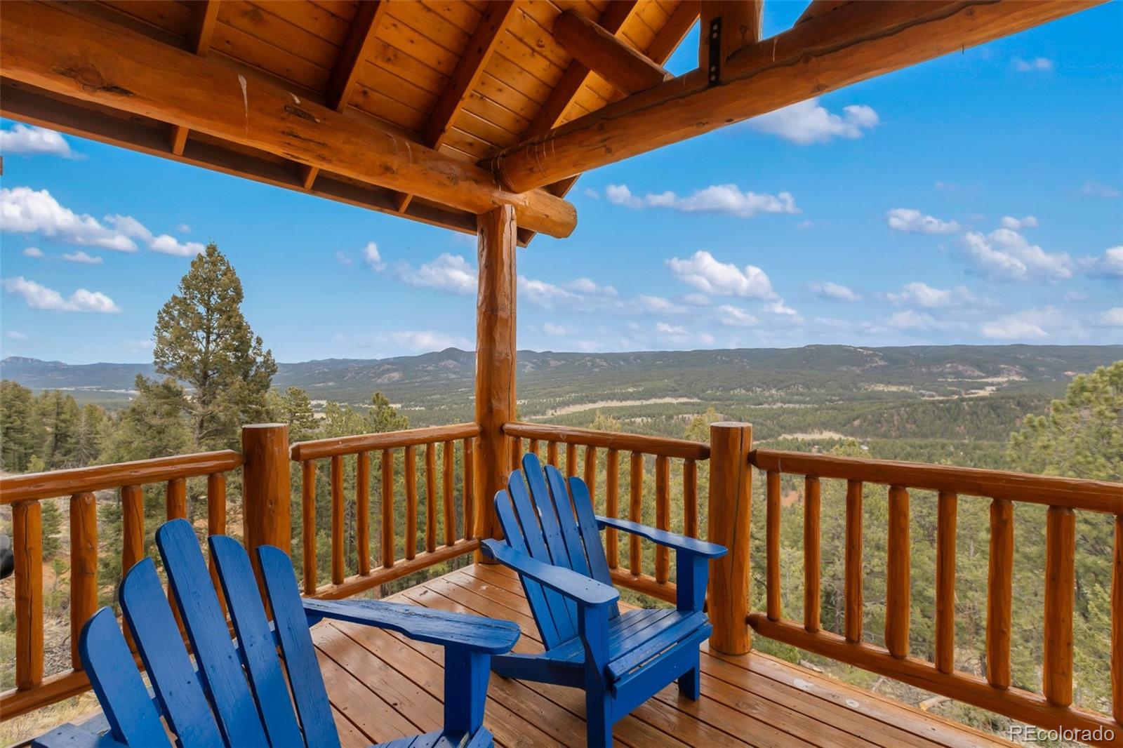 MLS Image #17 for 29549 n highway 67 ,woodland park, Colorado