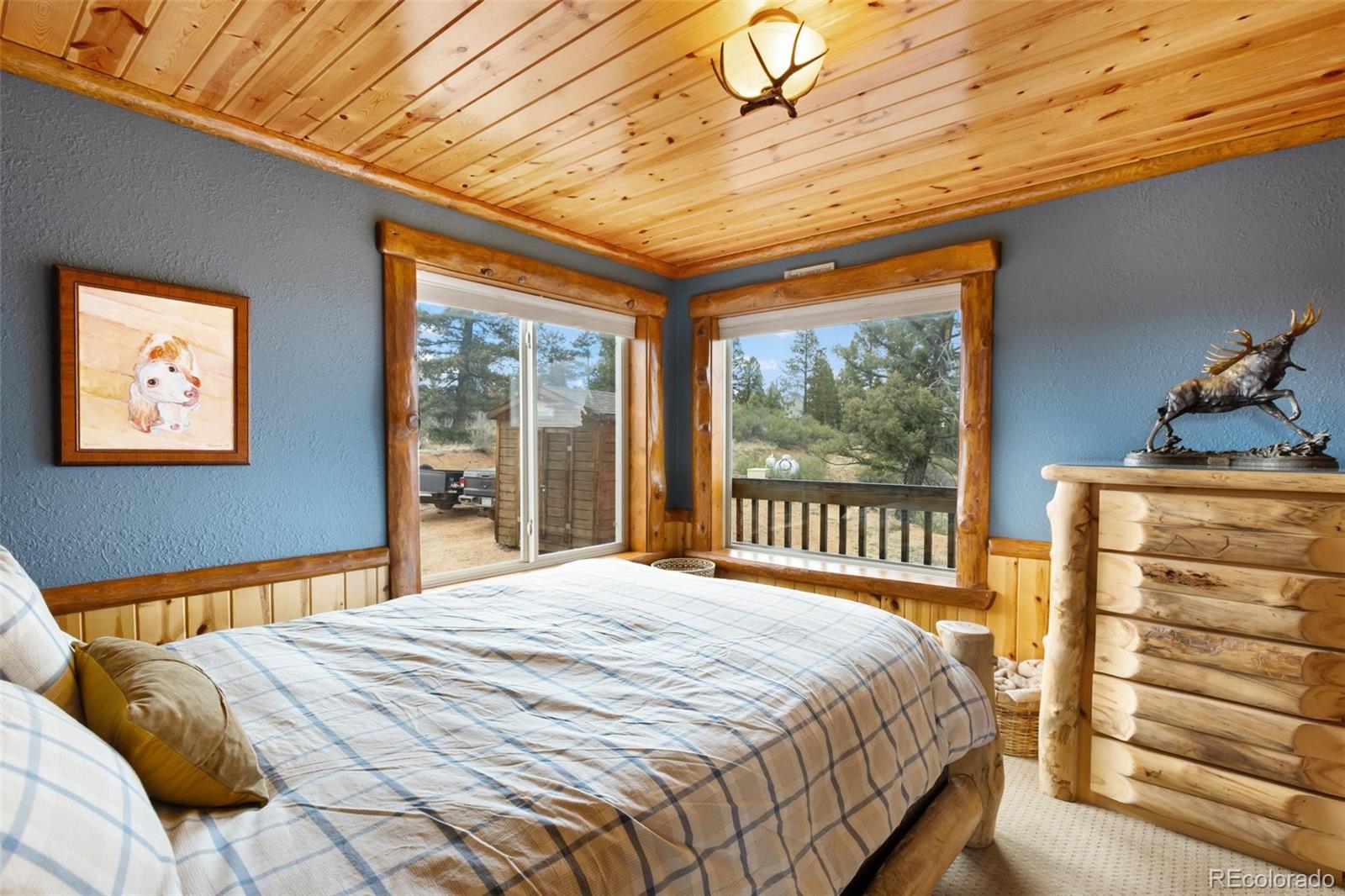 MLS Image #19 for 29549 n highway 67 ,woodland park, Colorado