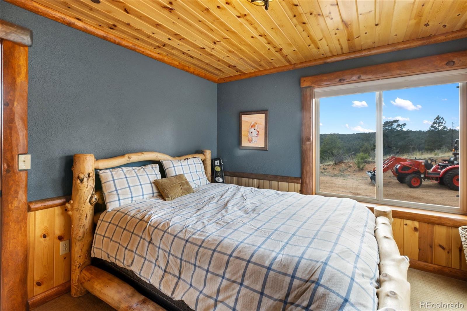 MLS Image #20 for 29549 n highway 67 ,woodland park, Colorado