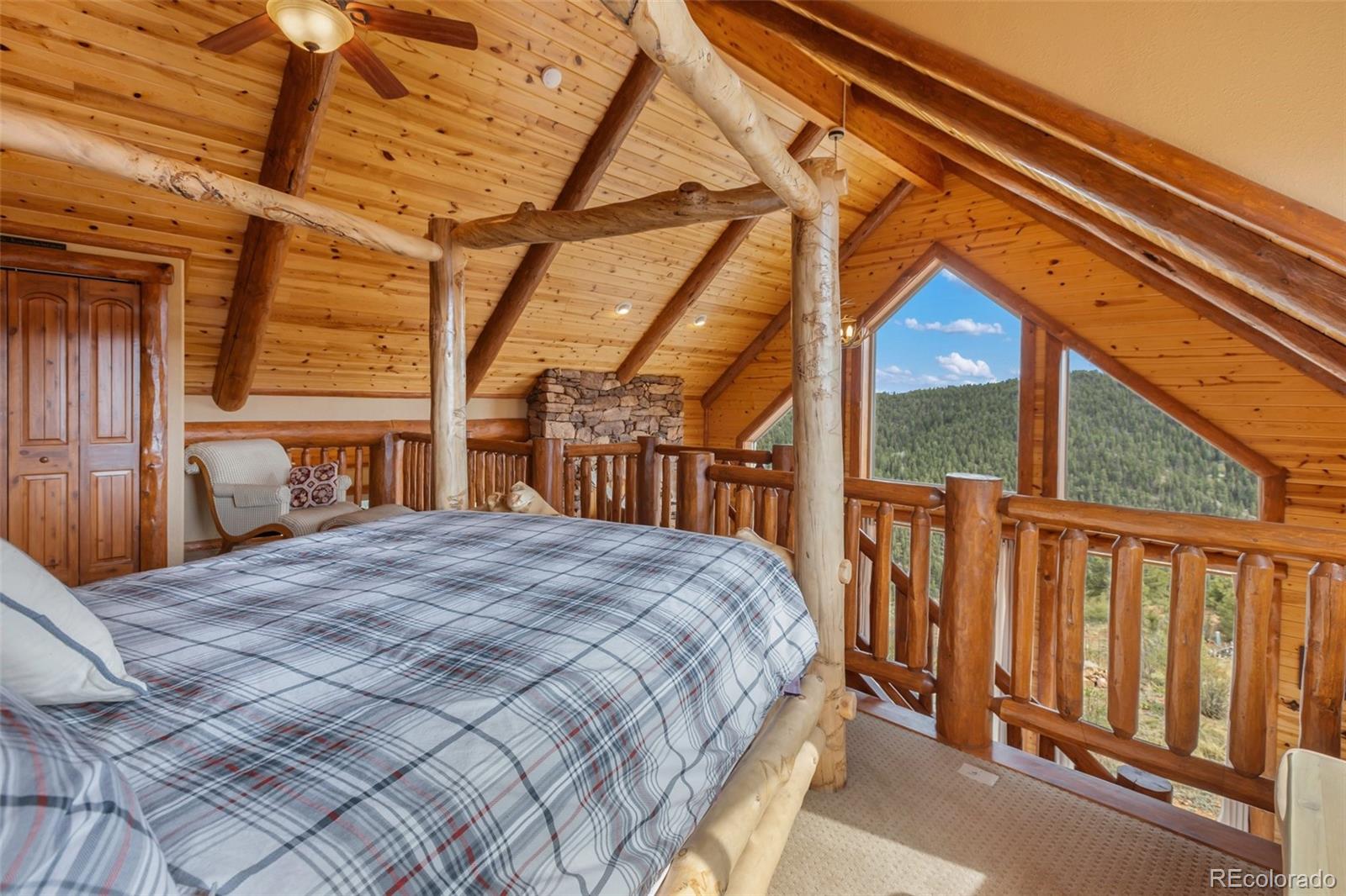 MLS Image #23 for 29549 n highway 67 ,woodland park, Colorado