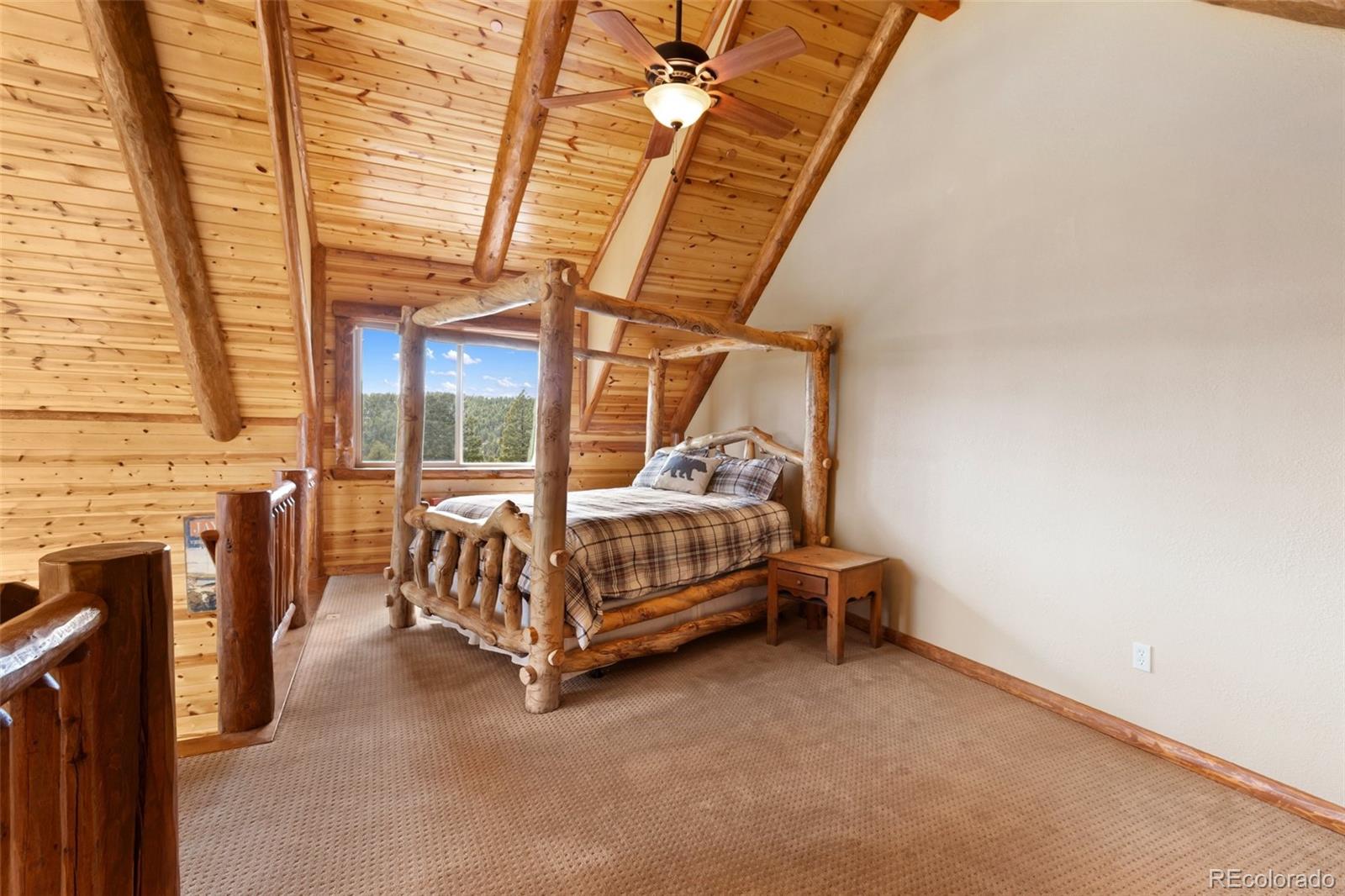 MLS Image #25 for 29549 n highway 67 ,woodland park, Colorado