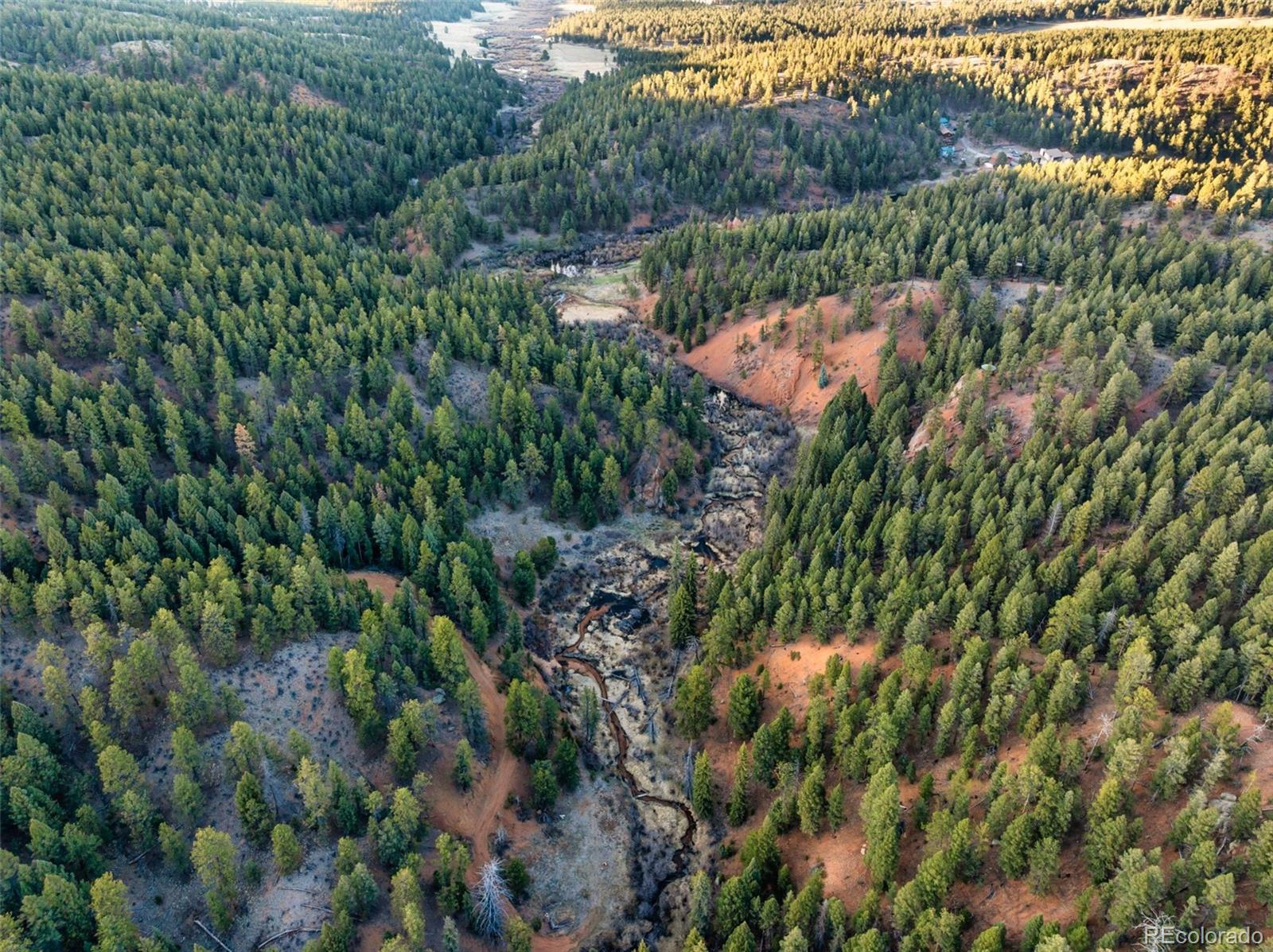MLS Image #42 for 29549 n highway 67 ,woodland park, Colorado