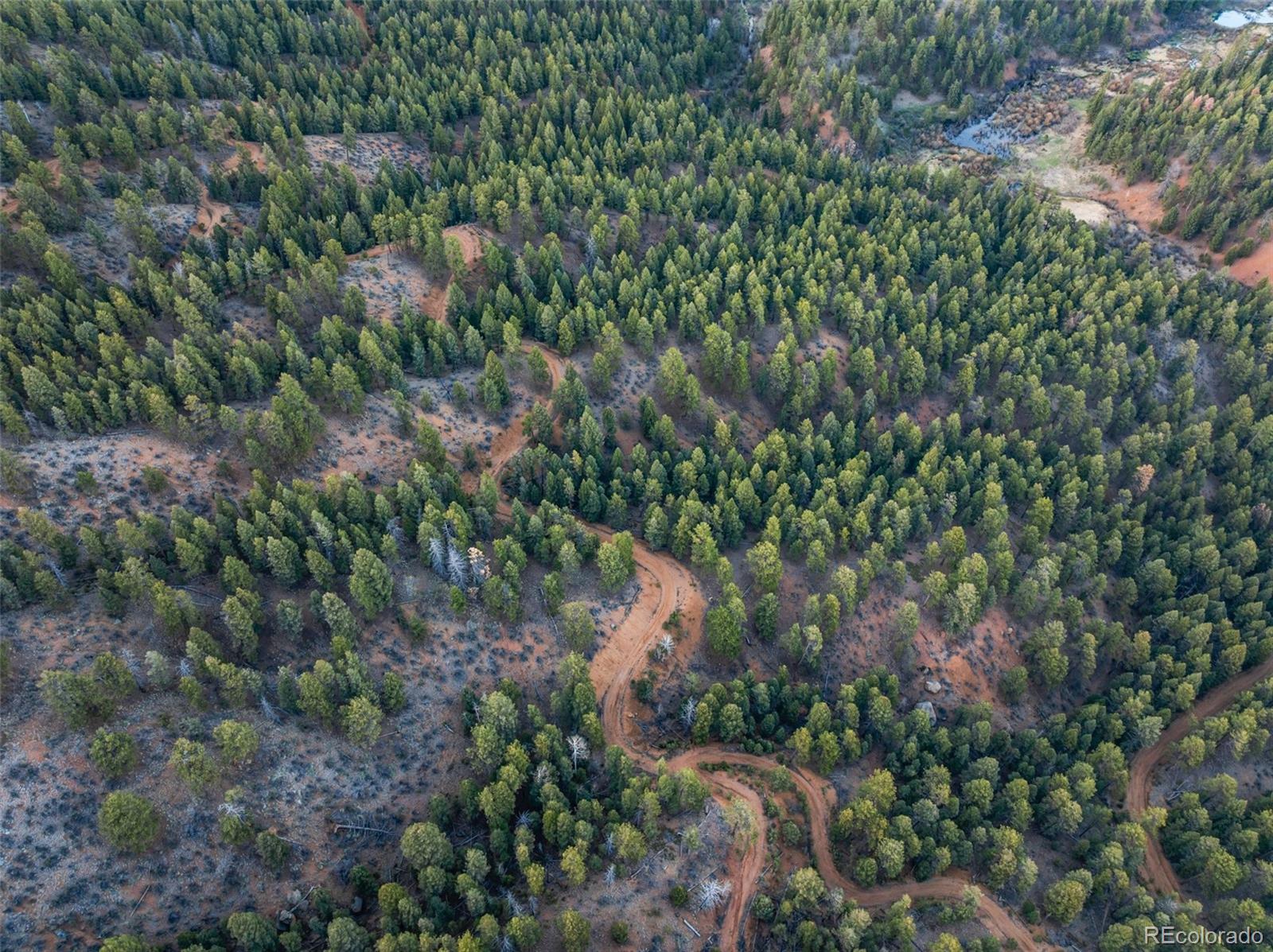 MLS Image #45 for 29549 n highway 67 ,woodland park, Colorado