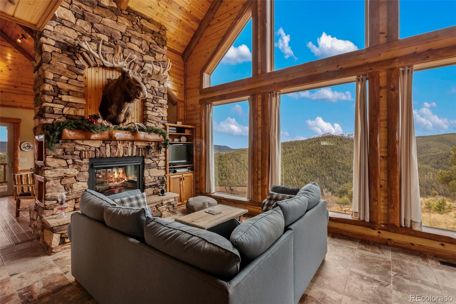 MLS Image #5 for 29549 n highway 67 ,woodland park, Colorado