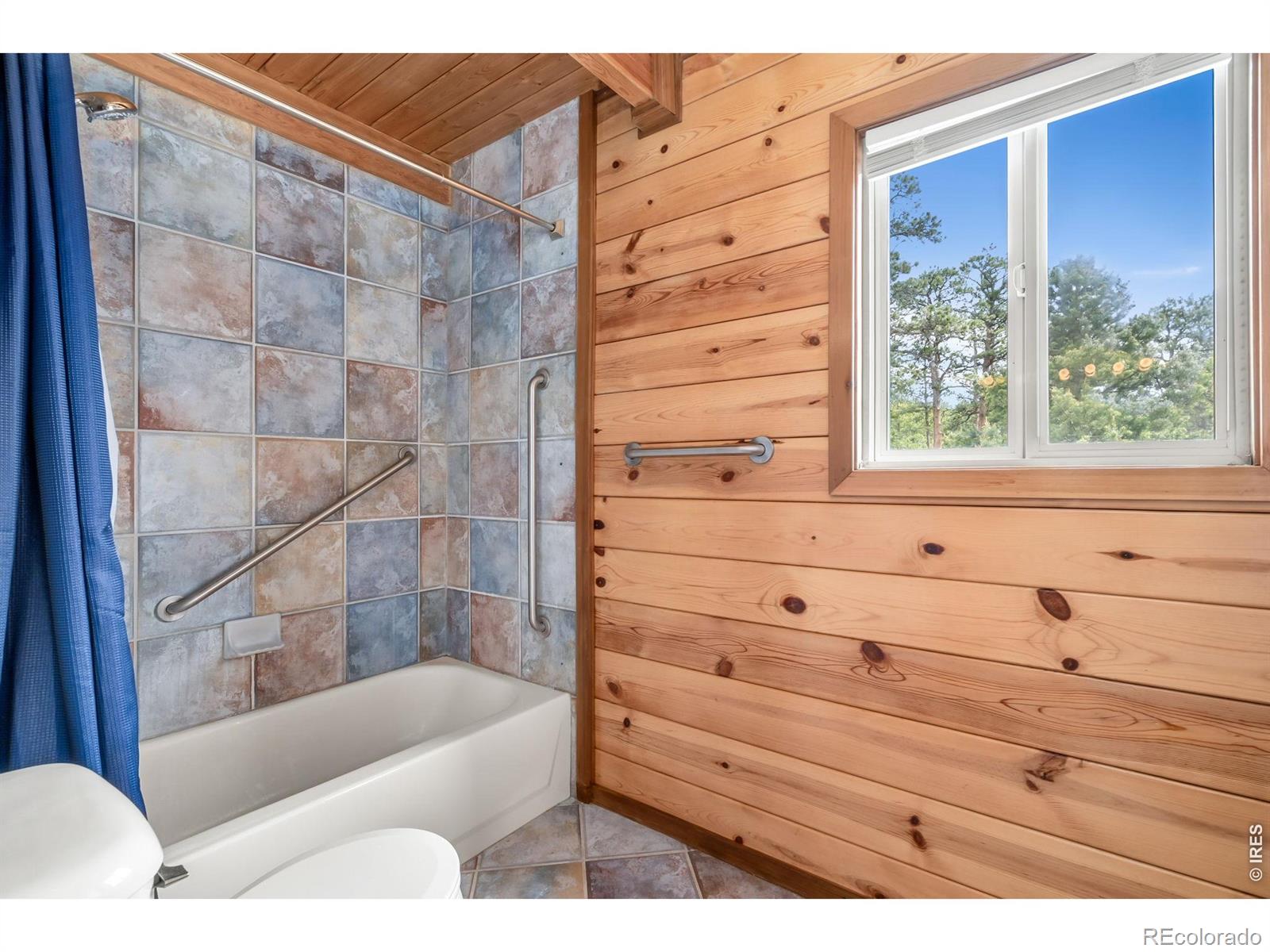 MLS Image #19 for 783  chimney rock drive,livermore, Colorado