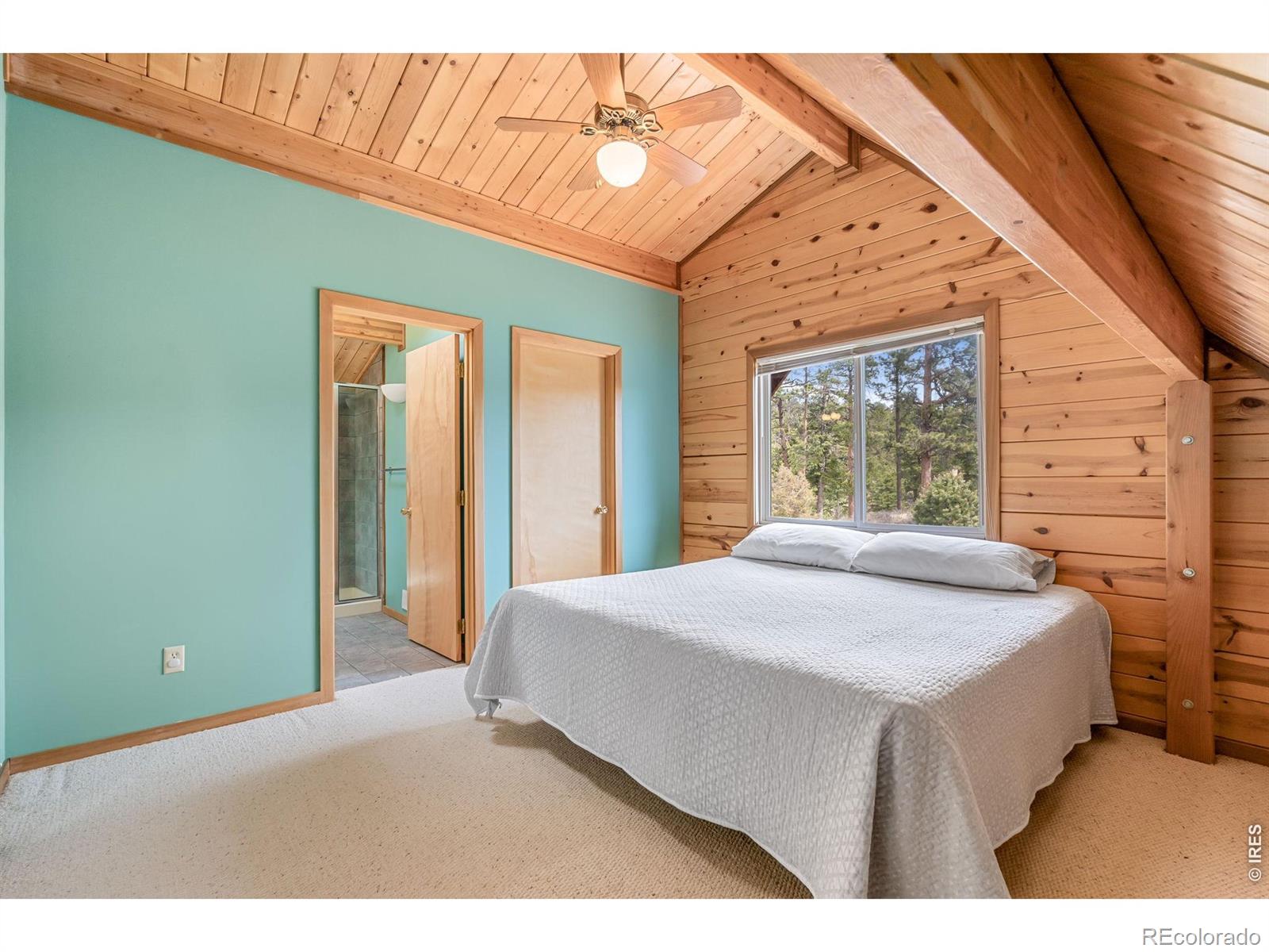 MLS Image #22 for 783  chimney rock drive,livermore, Colorado