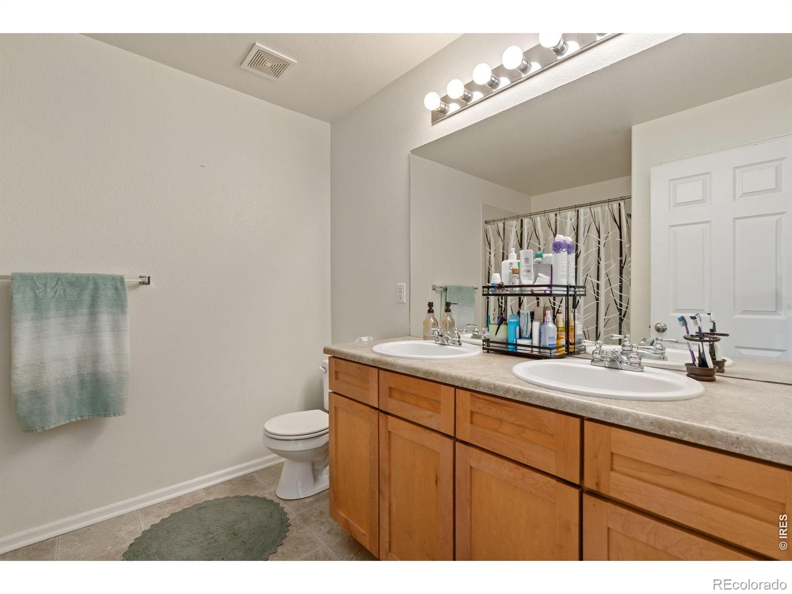 MLS Image #13 for 2759  harvest park lane,fort collins, Colorado