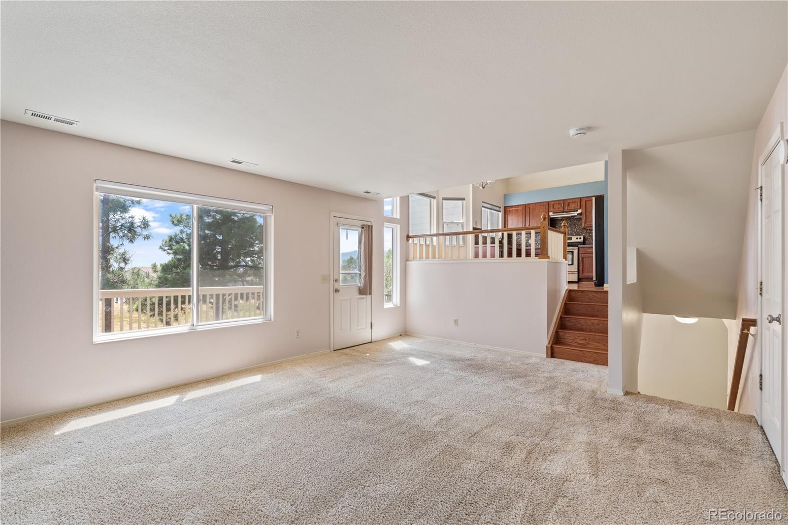 MLS Image #15 for 8049  cooper river drive,colorado springs, Colorado