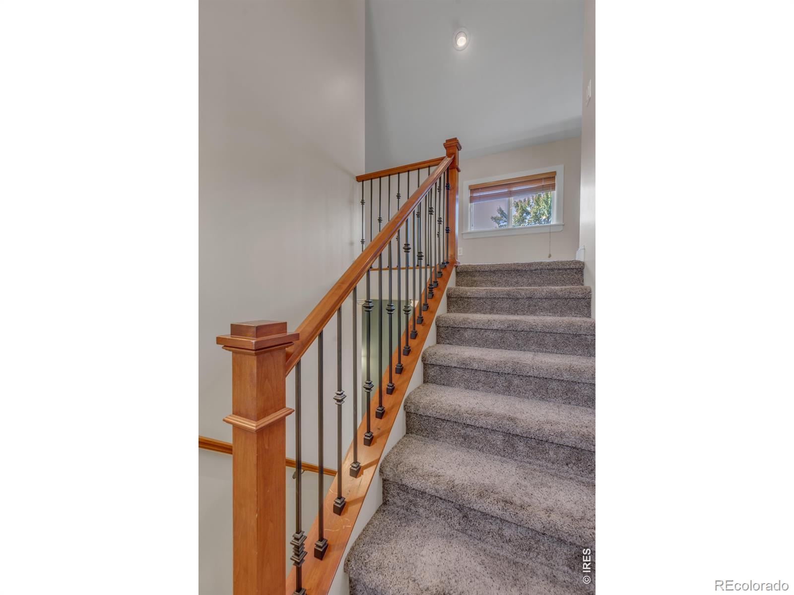 MLS Image #15 for 821  emery street,longmont, Colorado