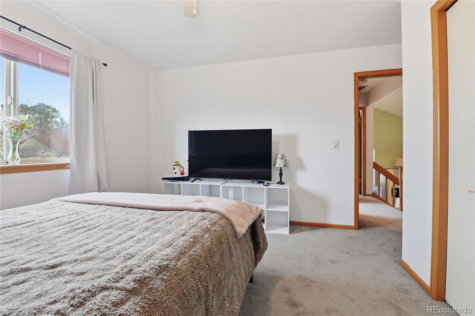 MLS Image #15 for 450 n 9th place,brighton, Colorado