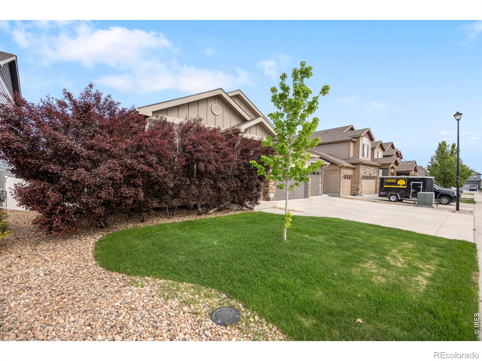 MLS Image #3 for 5225  carmon drive,windsor, Colorado