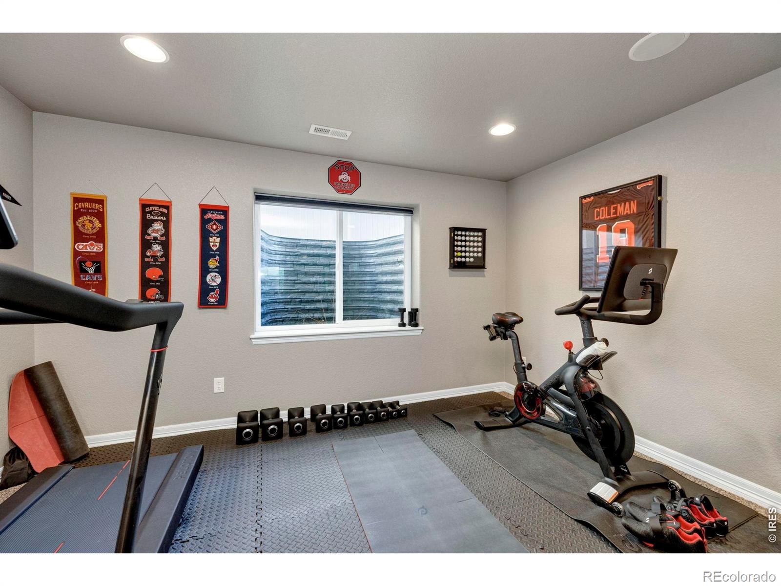MLS Image #36 for 5225  carmon drive,windsor, Colorado