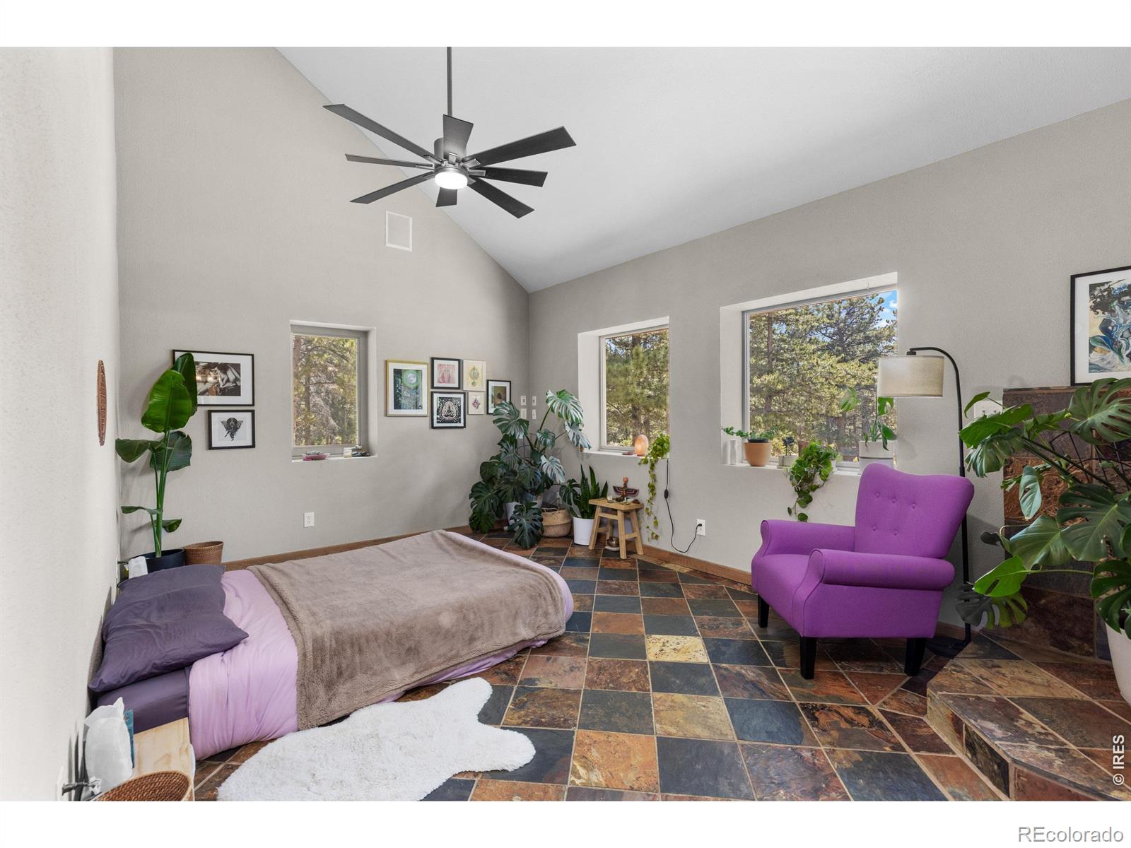 MLS Image #16 for 187  lynx drive,ward, Colorado