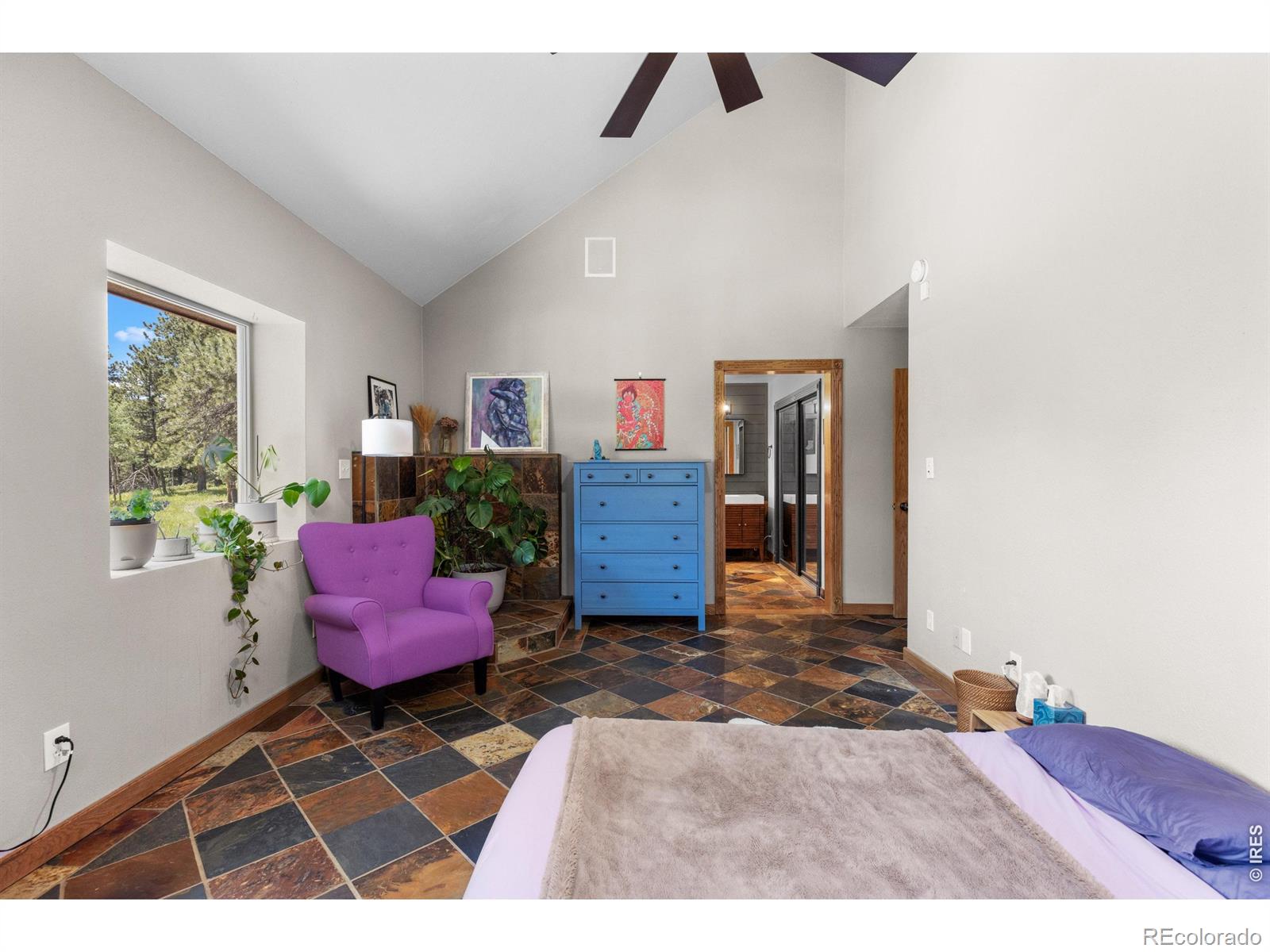 MLS Image #17 for 187  lynx drive,ward, Colorado