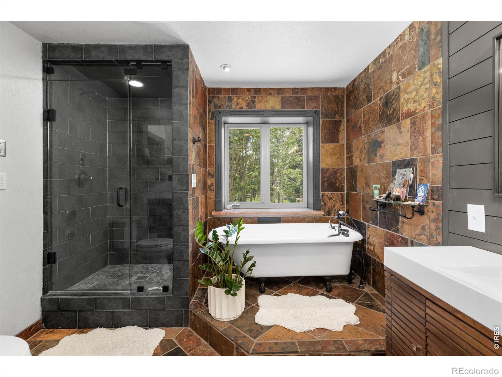 MLS Image #19 for 187  lynx drive,ward, Colorado