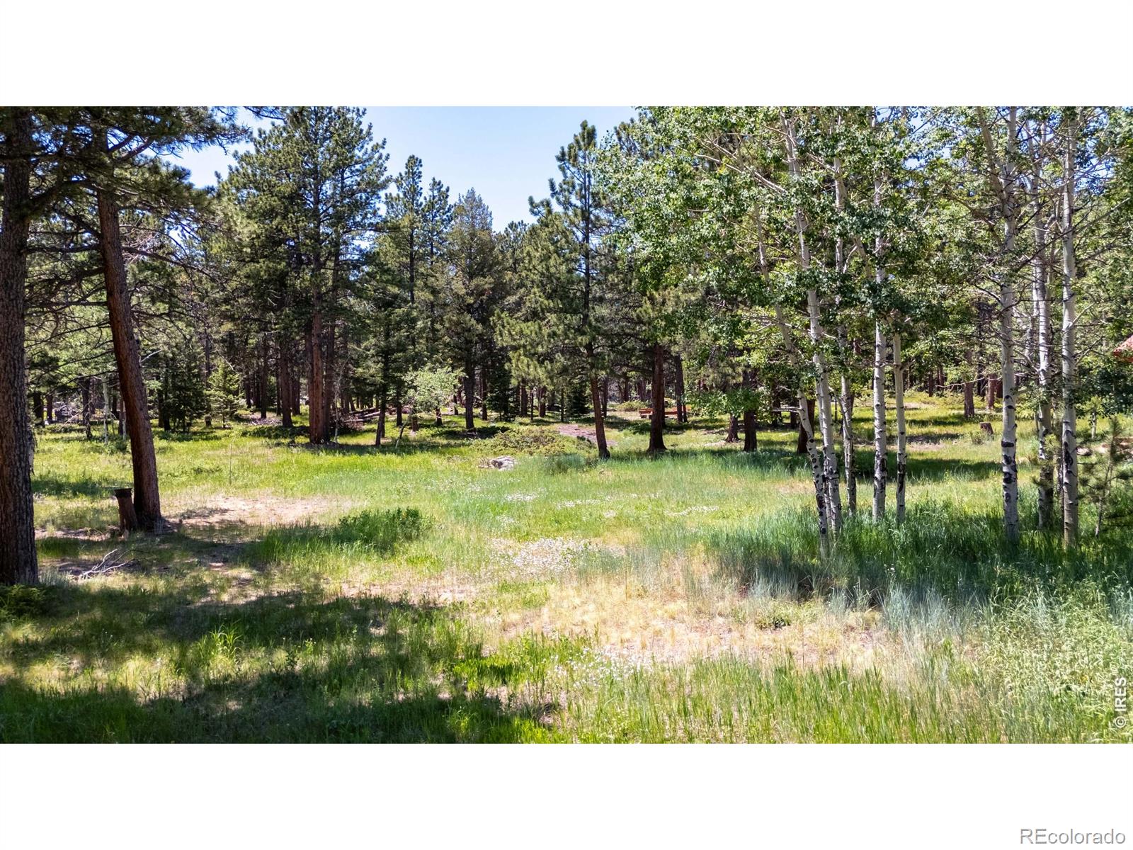 MLS Image #3 for 187  lynx drive,ward, Colorado