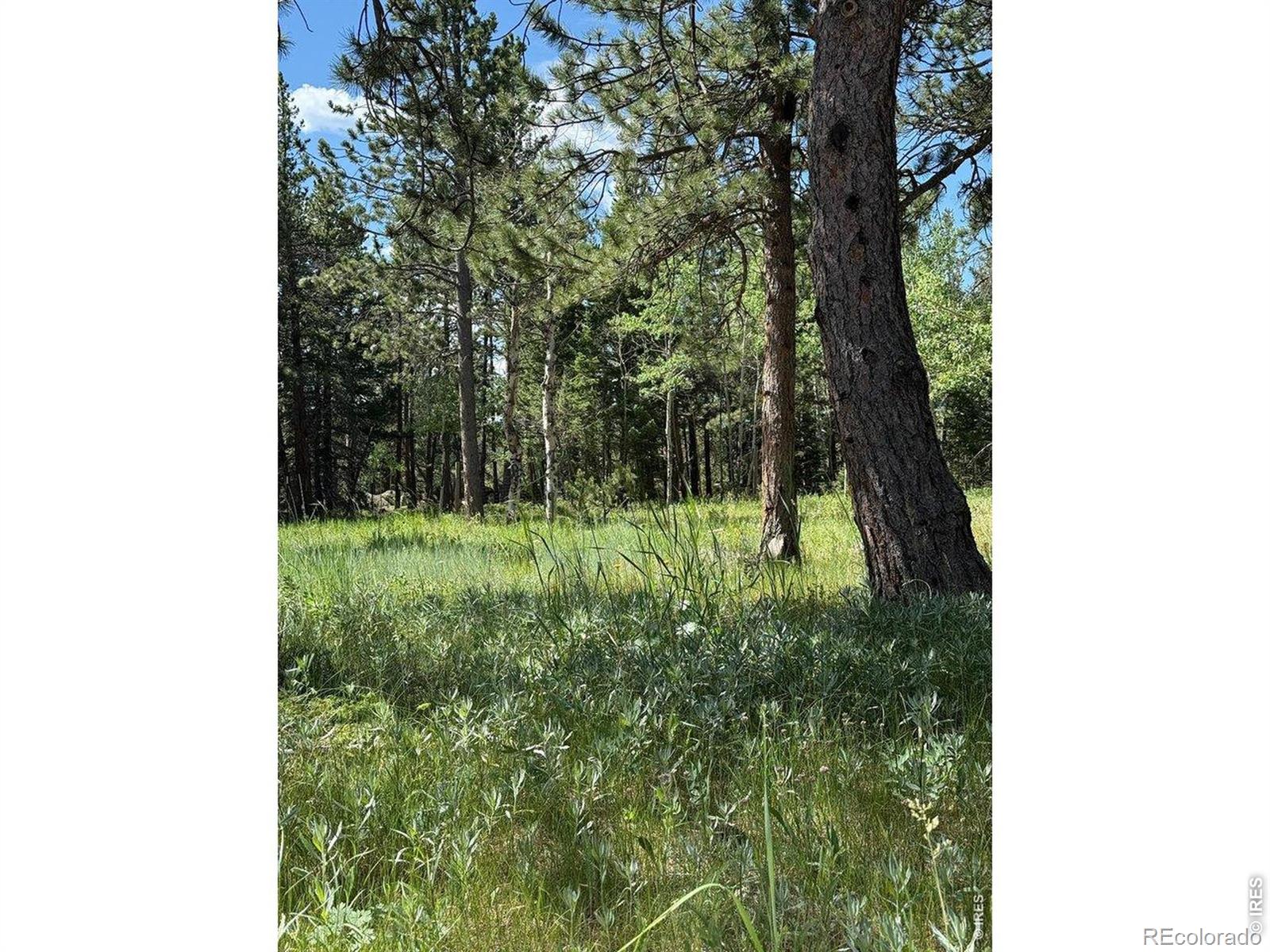 MLS Image #38 for 187  lynx drive,ward, Colorado