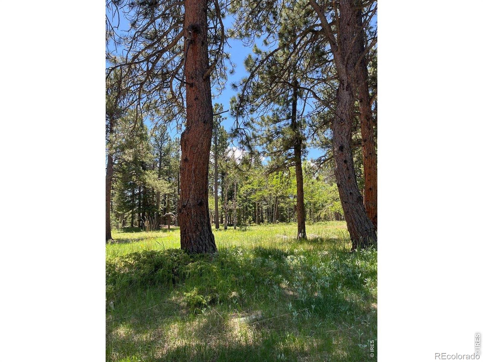MLS Image #40 for 187  lynx drive,ward, Colorado