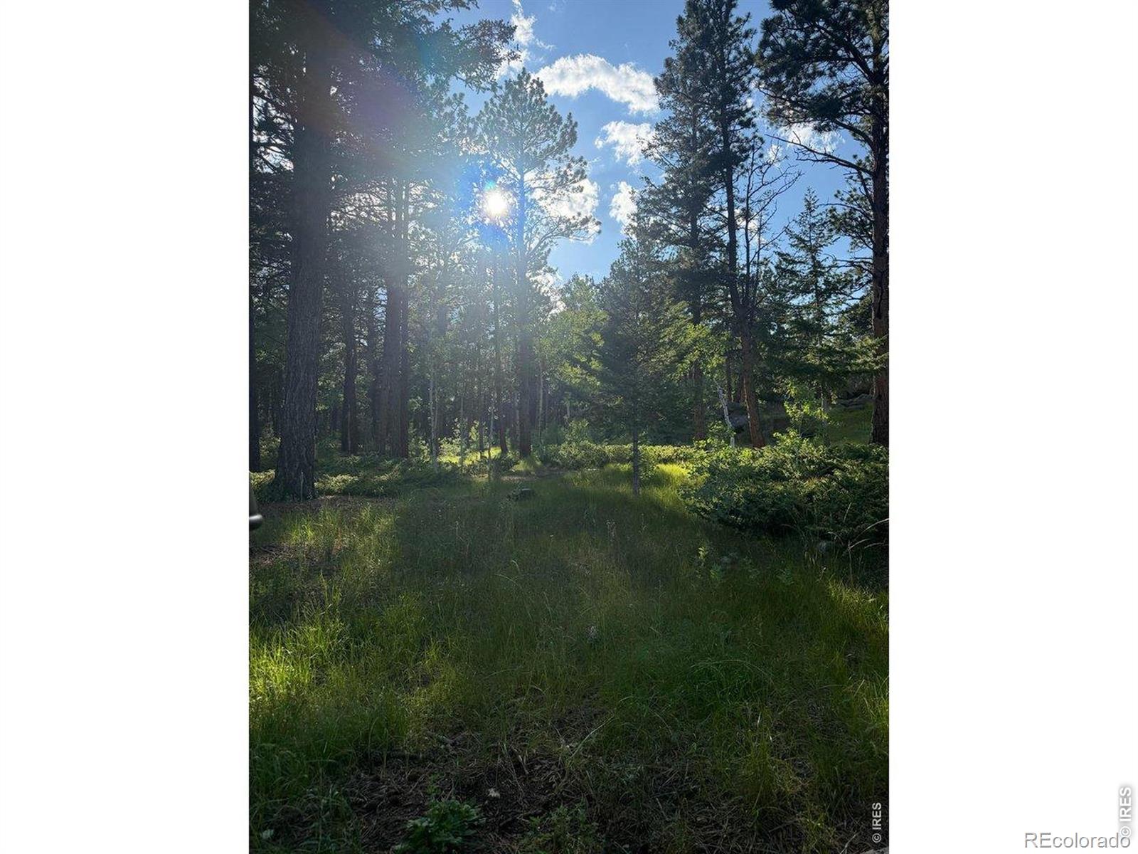 MLS Image #41 for 187  lynx drive,ward, Colorado
