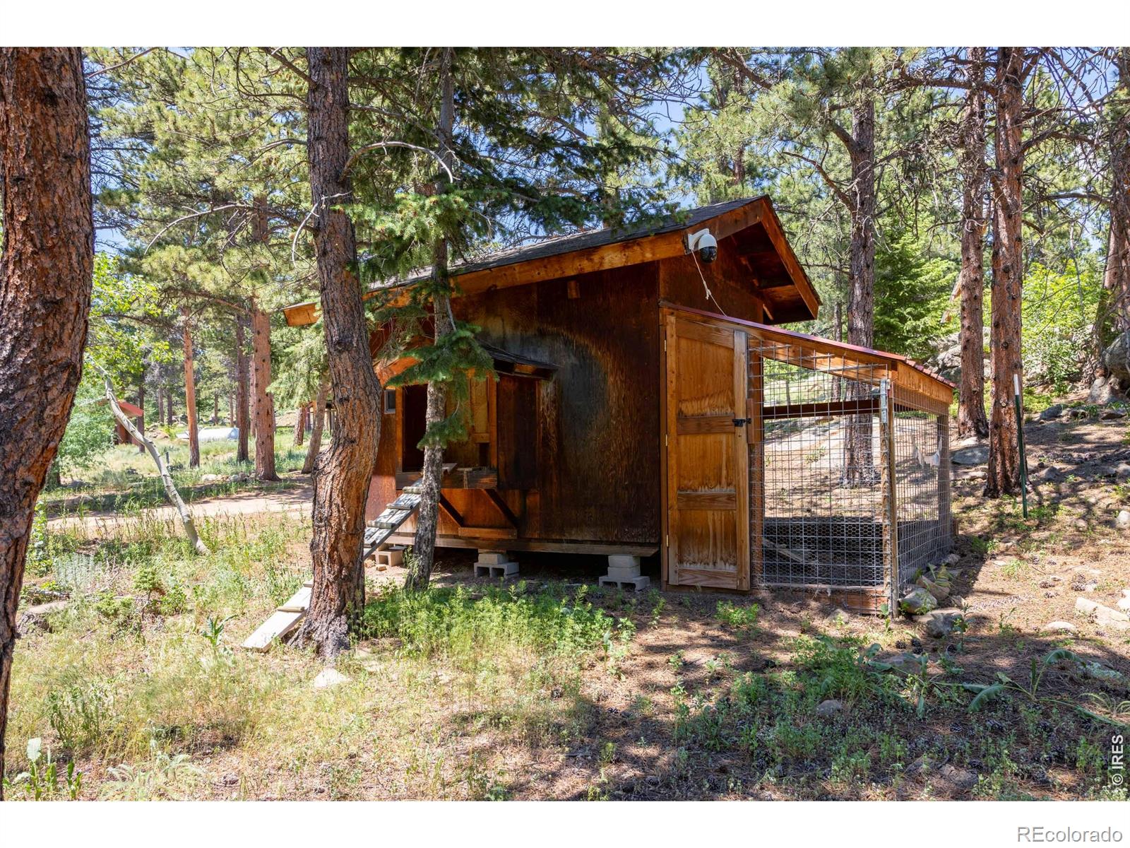 MLS Image #45 for 187  lynx drive,ward, Colorado