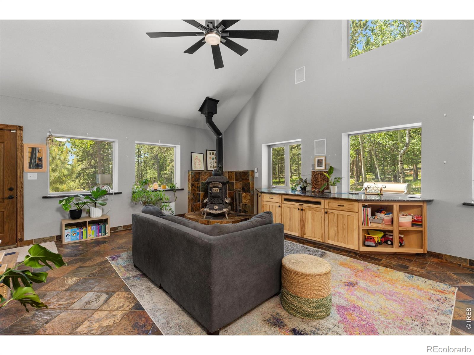 MLS Image #7 for 187  lynx drive,ward, Colorado