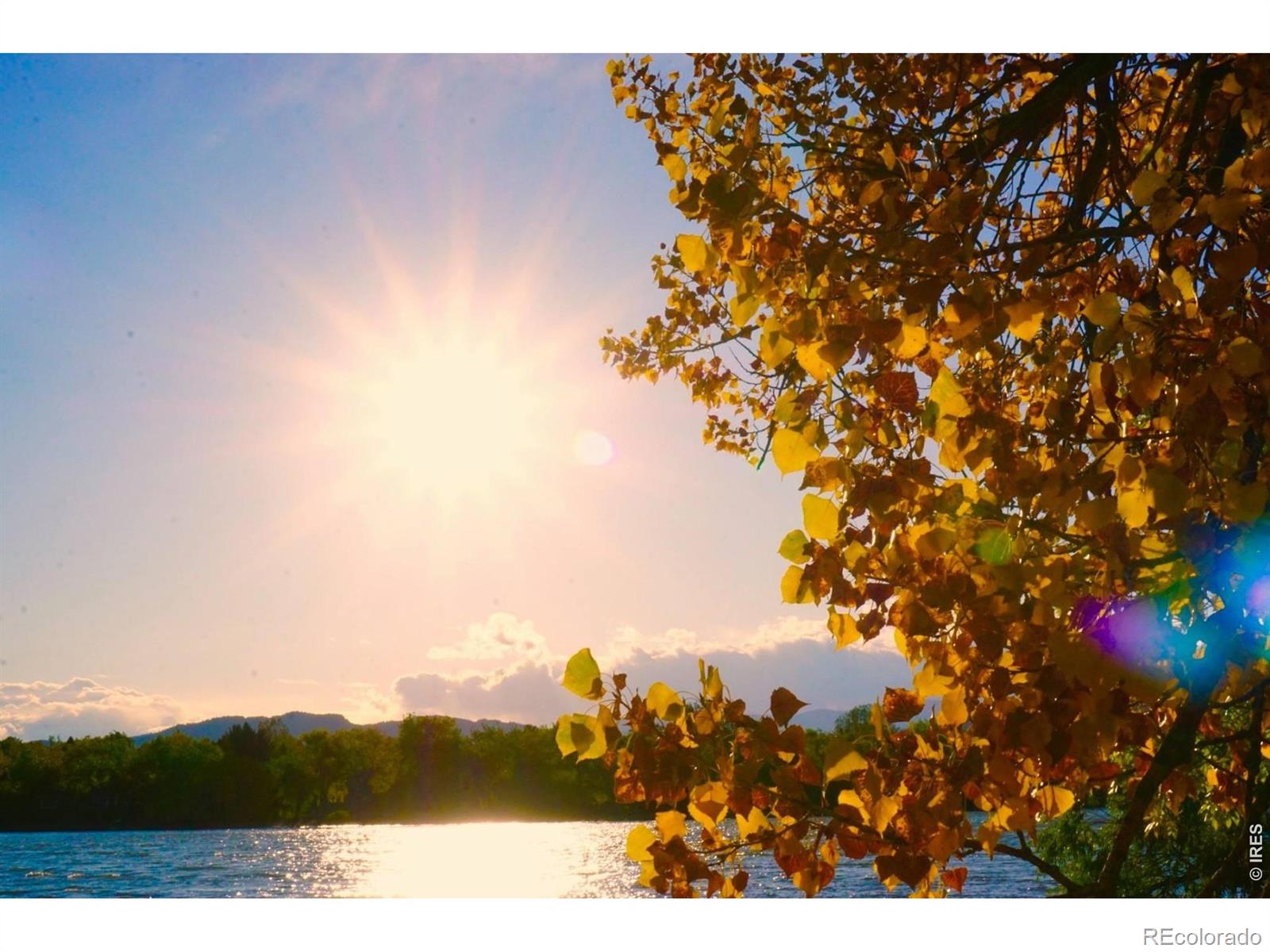 MLS Image #34 for 707  sandpiper point,fort collins, Colorado