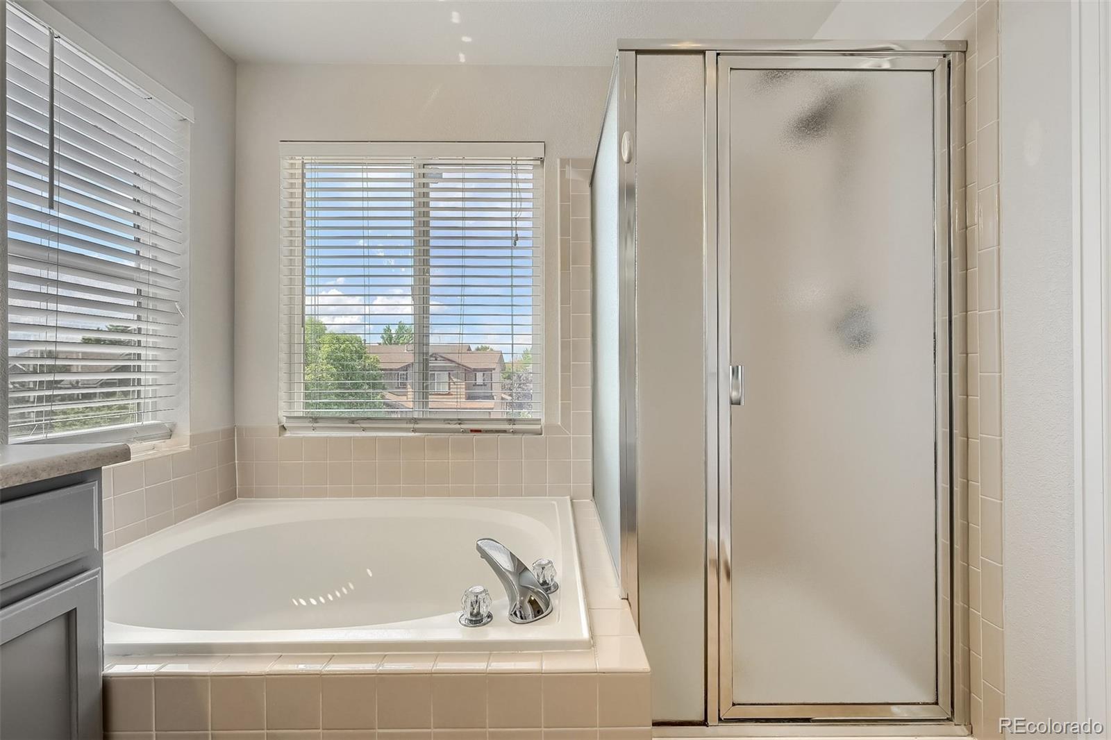 MLS Image #22 for 10639  cherrybrook circle,highlands ranch, Colorado