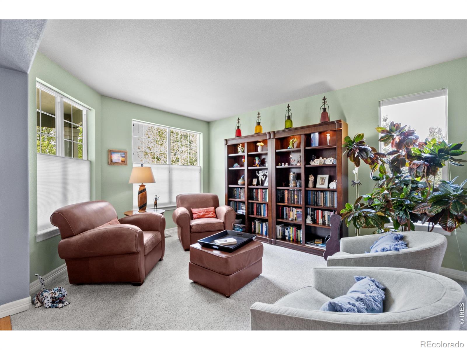 MLS Image #16 for 8781  longs peak circle,windsor, Colorado