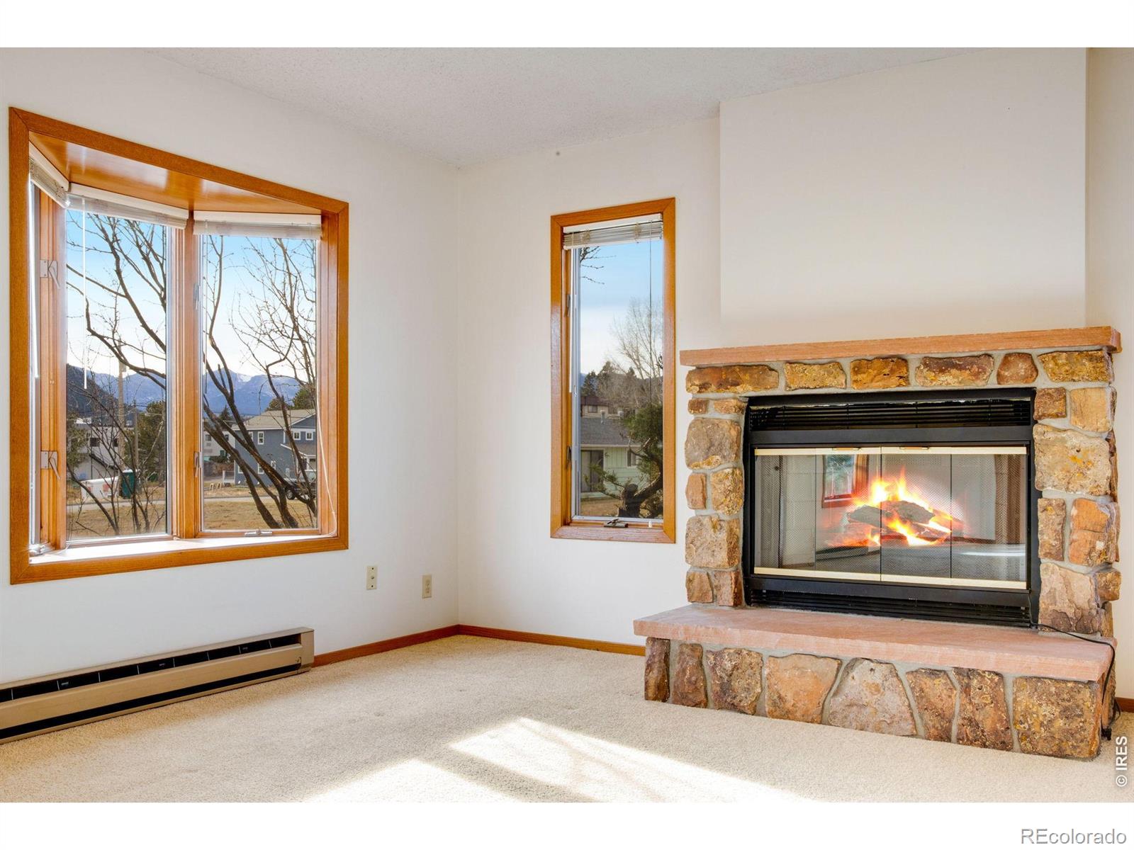 MLS Image #16 for 1791  olympian lane,estes park, Colorado