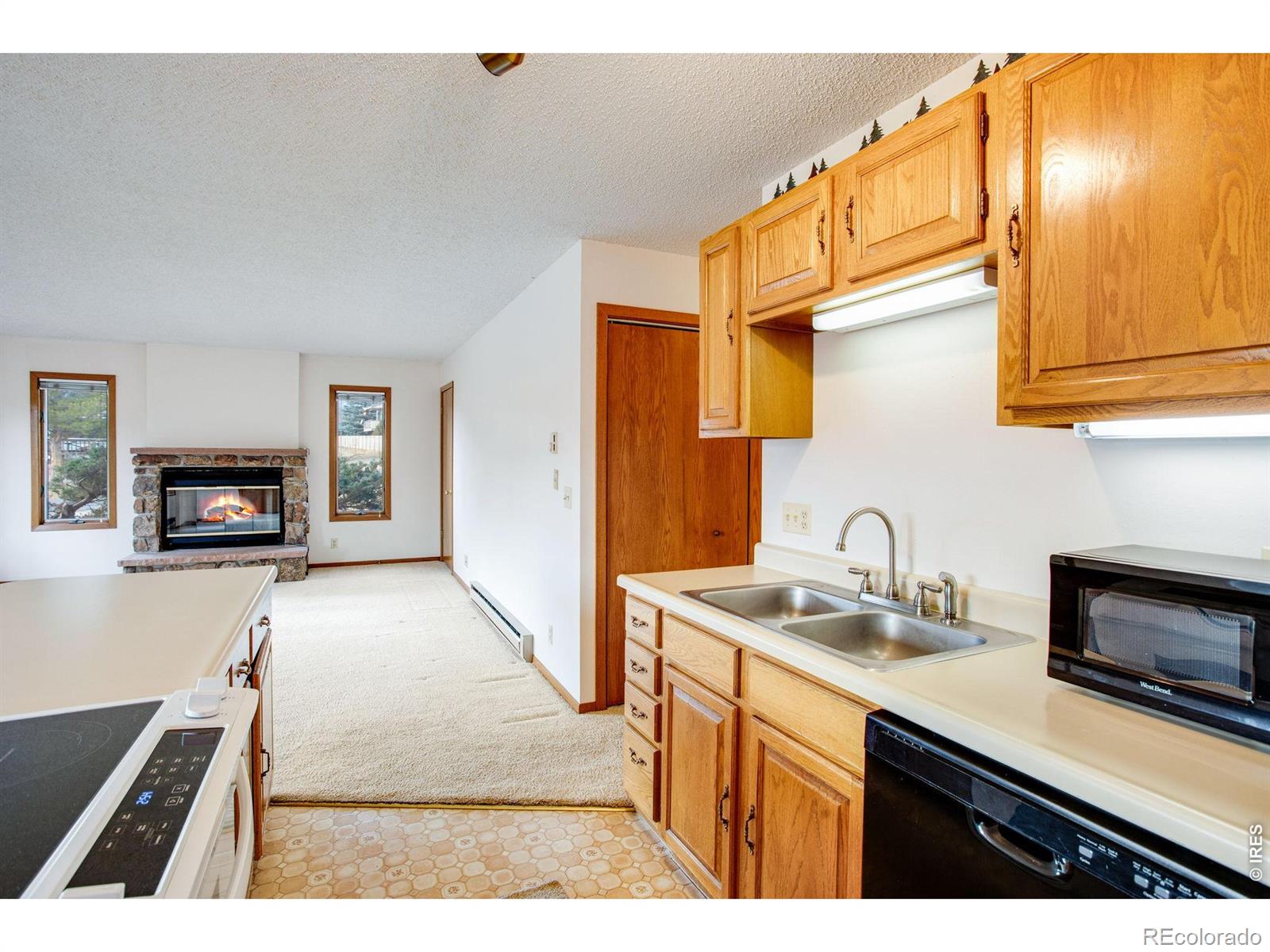 MLS Image #20 for 1791  olympian lane,estes park, Colorado