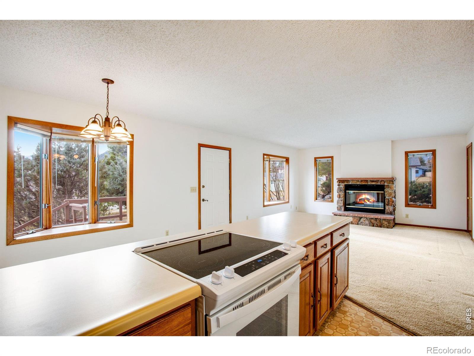 MLS Image #22 for 1791  olympian lane,estes park, Colorado