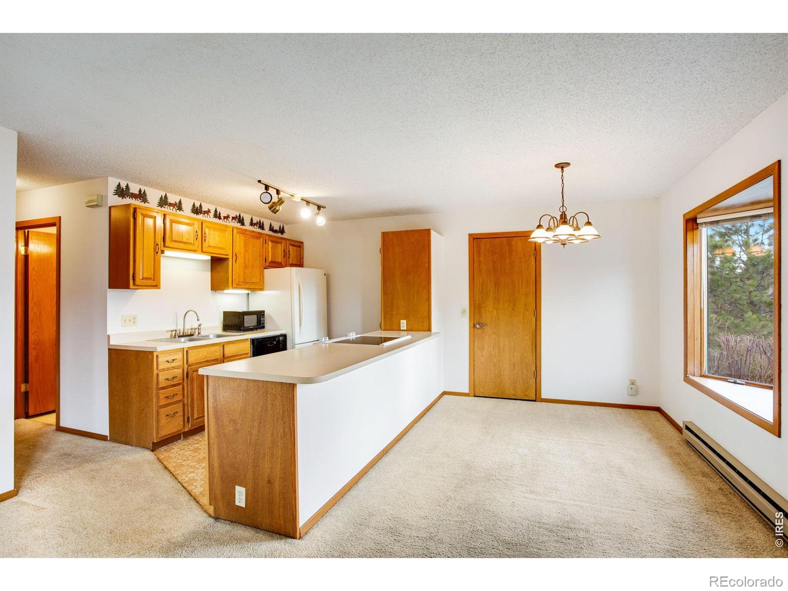 MLS Image #24 for 1791  olympian lane,estes park, Colorado