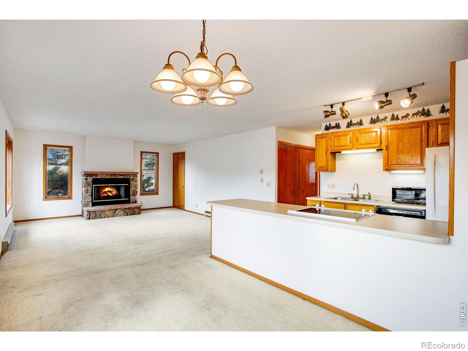 MLS Image #25 for 1791  olympian lane,estes park, Colorado
