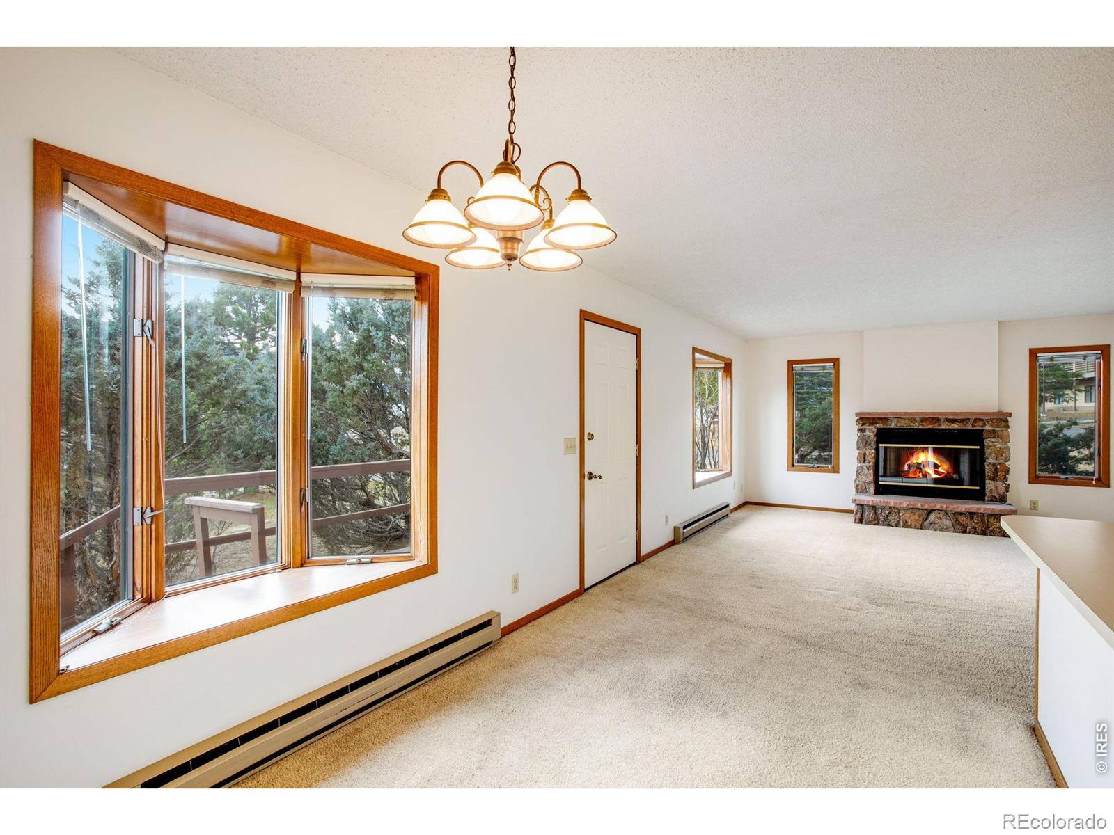 MLS Image #28 for 1791  olympian lane,estes park, Colorado
