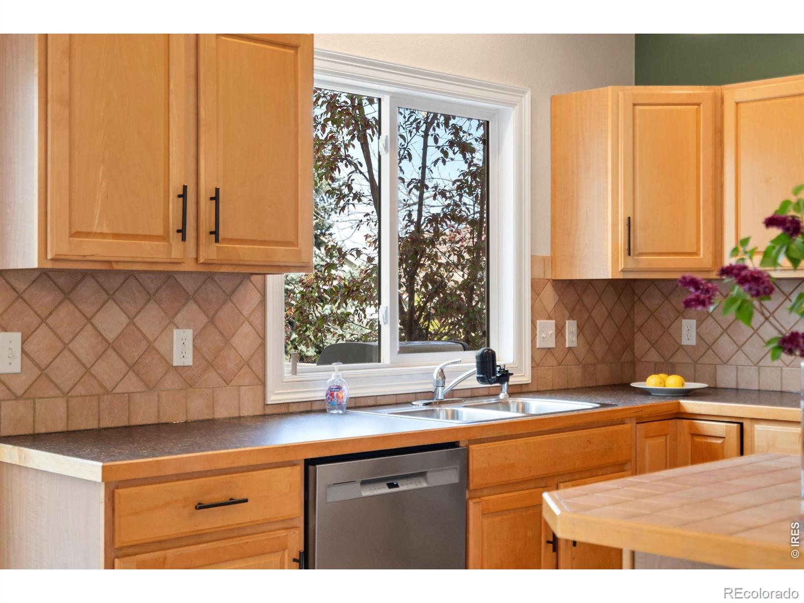 MLS Image #12 for 1614  fantail court,fort collins, Colorado