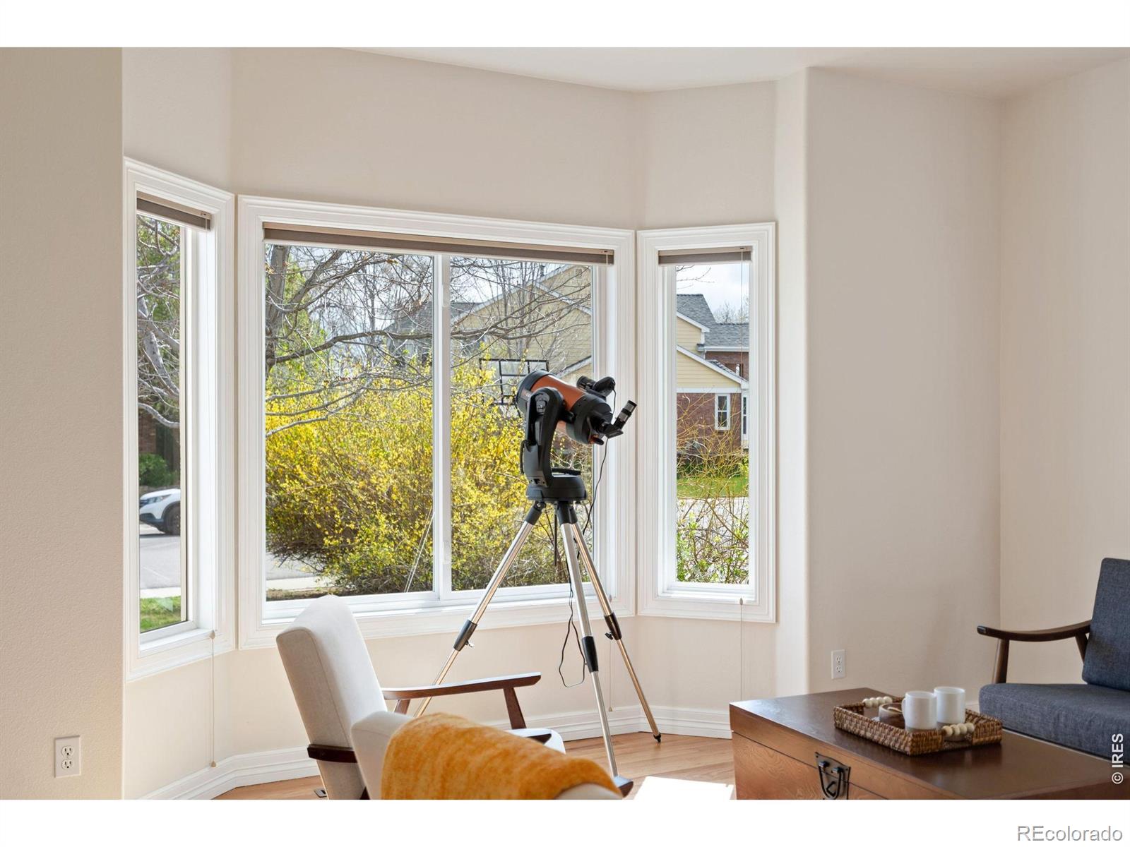 MLS Image #14 for 1614  fantail court,fort collins, Colorado