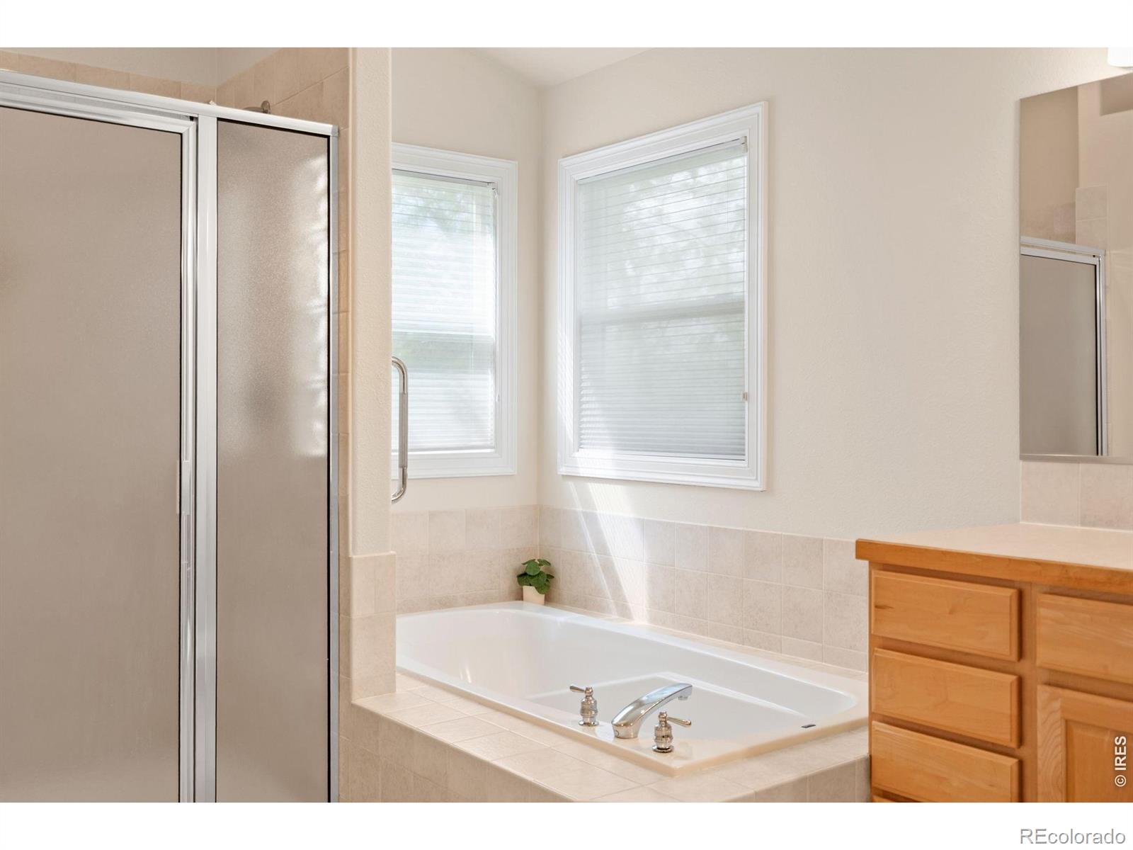 MLS Image #27 for 1614  fantail court,fort collins, Colorado