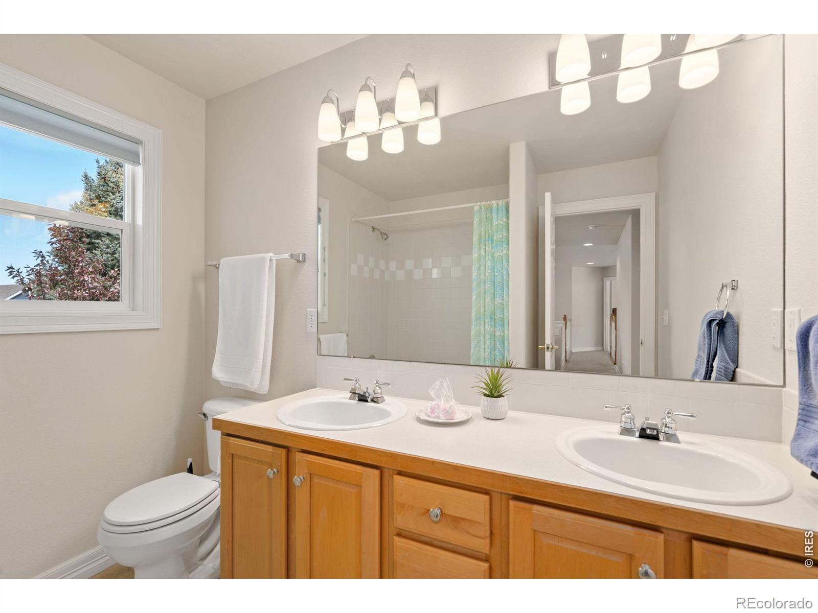 MLS Image #31 for 1614  fantail court,fort collins, Colorado