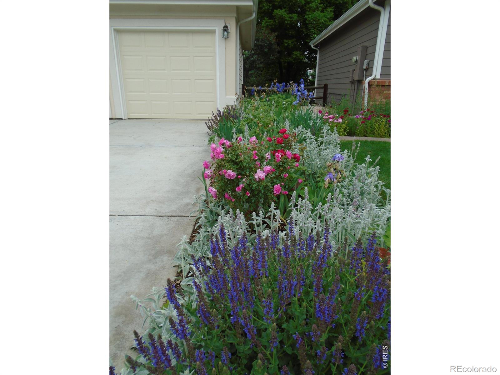 MLS Image #37 for 1614  fantail court,fort collins, Colorado