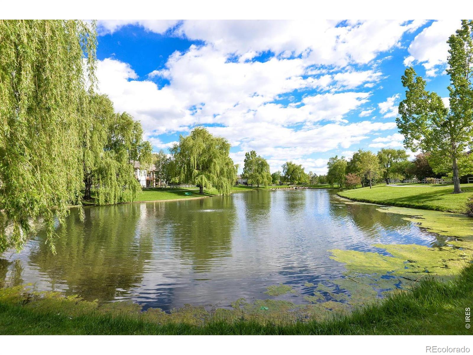 MLS Image #39 for 1614  fantail court,fort collins, Colorado
